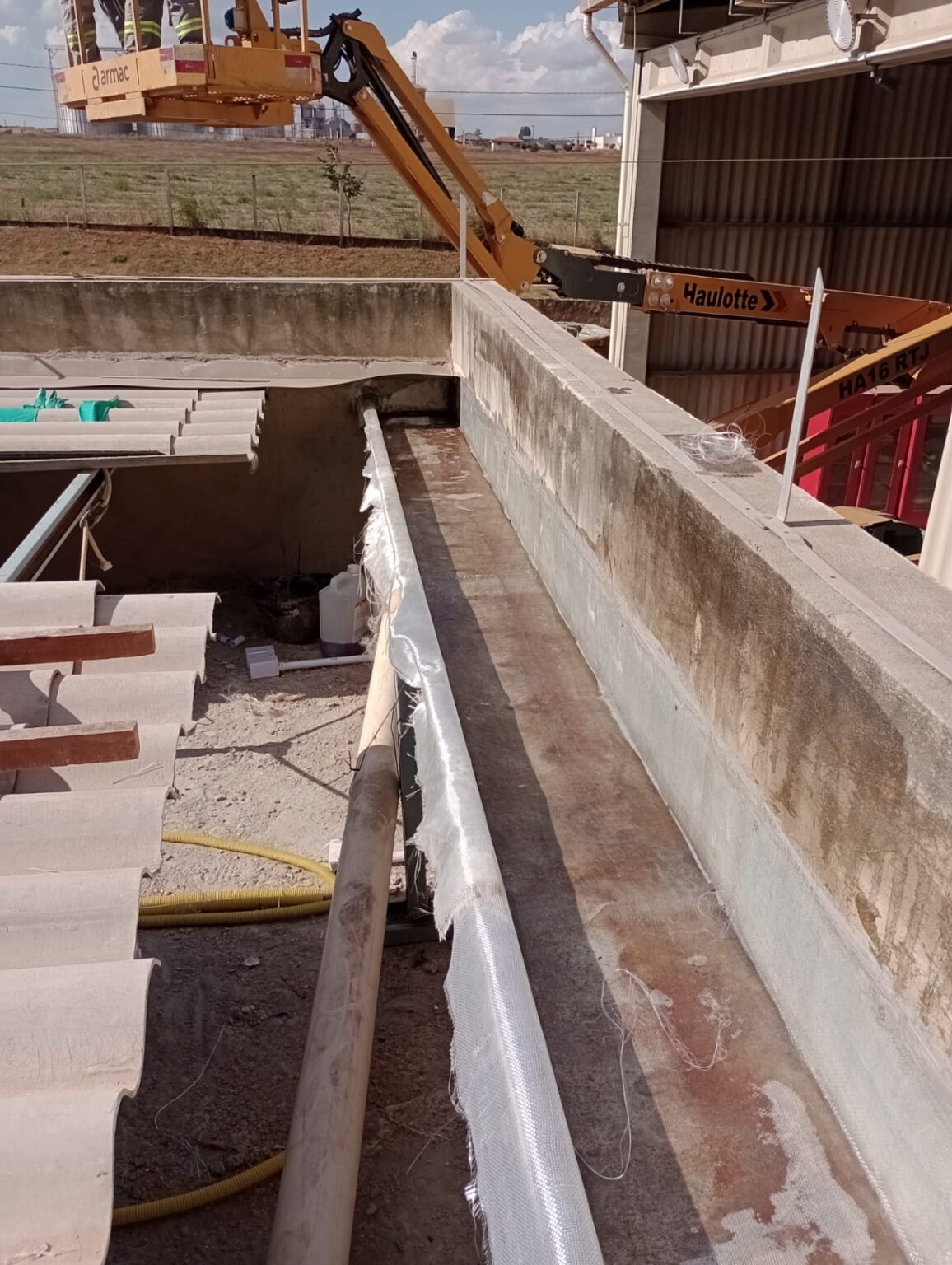 WhatsApp Image 2024-06-11 at 09.44.12