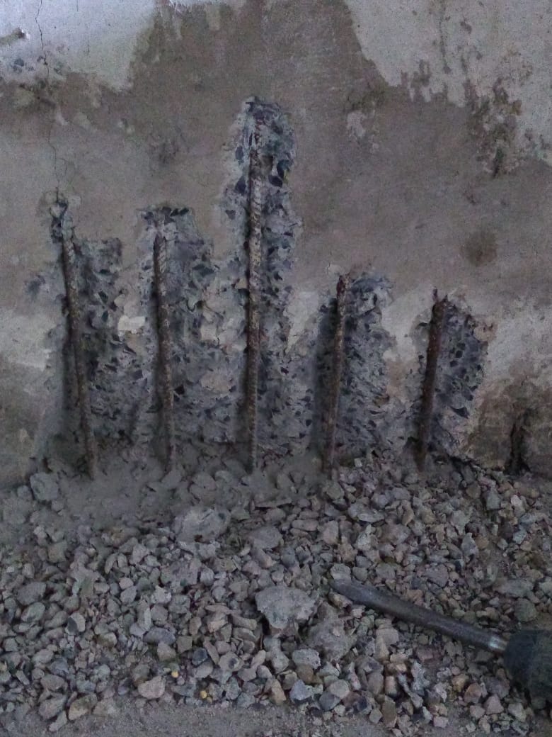 WhatsApp Image 2024-06-12 at 09.44.32