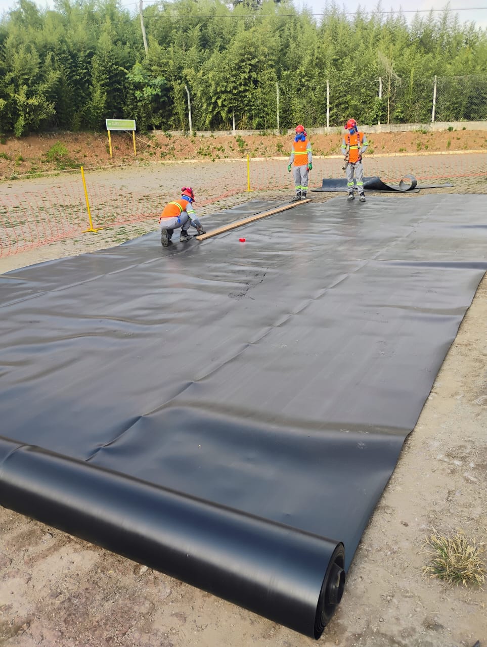 WhatsApp Image 2024-07-29 at 09.14.55